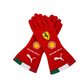 2026 Scuderia-Style F1 Racing Gloves