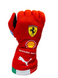 2026 Scuderia-Style F1 Racing Gloves