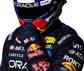 2026 RB-Style F1 Racing Gloves