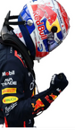 2026 RB-Style F1 Racing Gloves