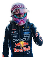 2026 RB-Style F1 Racing Gloves