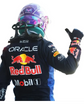 2026 RB-Style F1 Racing Gloves