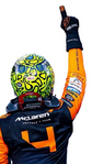 2026 Papaya-Style F1 Racing Gloves