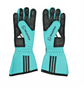 2026 Silver Arrow-Style F1 Racing Gloves