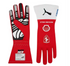 Charles Leclerc F1 Gloves – Joshua Vides Ferrari Edition | Race Blaze