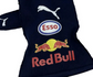 2021 RB-Style F1 Race Gloves